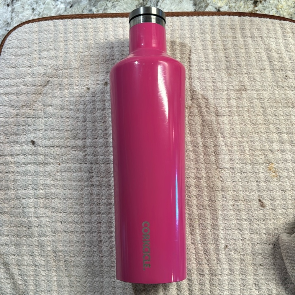 CORKCICLE water bottle
